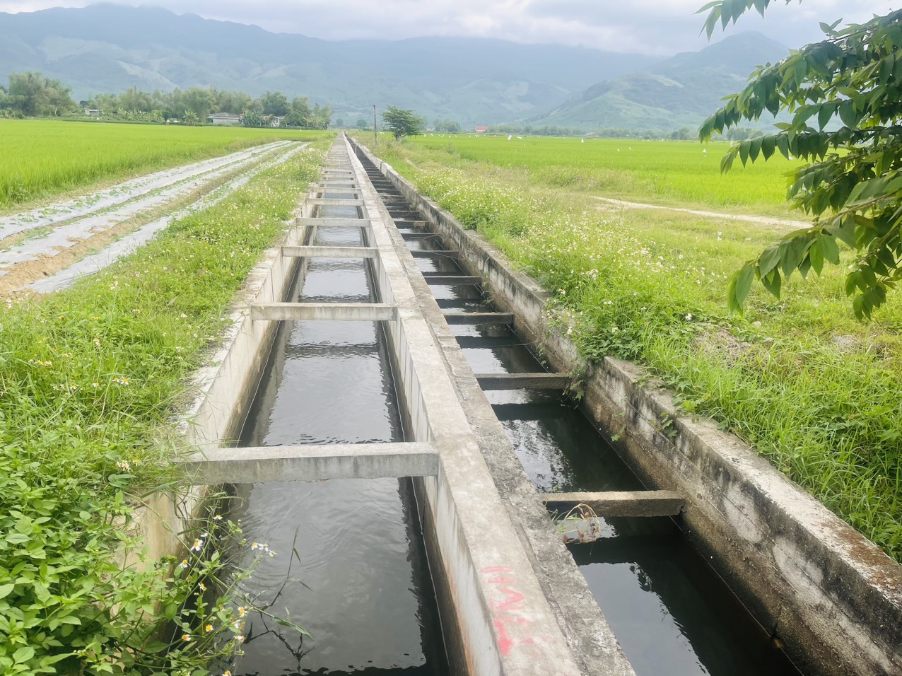 Gia Lai cần khoảng 17.000 tỷ đồng đầu tư hệ thống tưới tiêu cơ bản- Ảnh 2. Gia Lai cần khoảng 17.000 tỷ đồng đầu tư hệ thống tưới tiêu cơ bản- Ảnh 2.