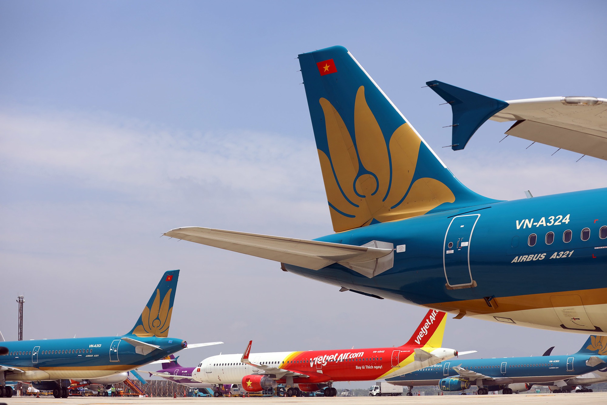 Giảm thiểu các vụ chim va đập vào tàu bay- Ảnh 1. Giảm thiểu các vụ chim va đập vào tàu bay- Ảnh 1.