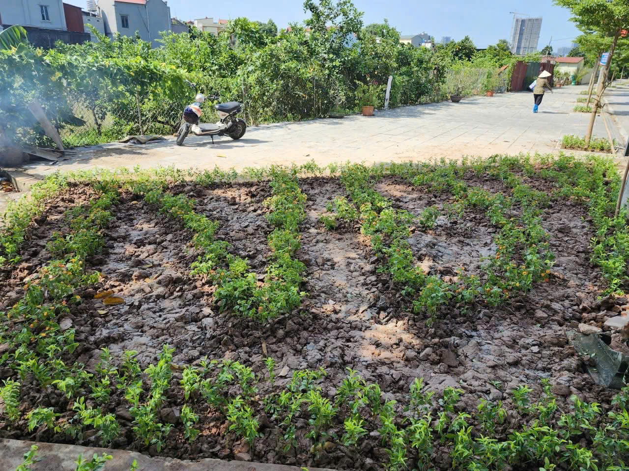 Hà Nội đẹp từ những điều bình dị, văn minh- Ảnh 22. Hà Nội đẹp từ những điều bình dị, văn minh- Ảnh 22.