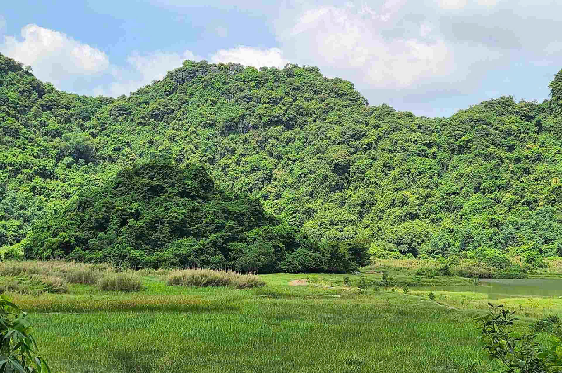 Ninh Bình: Phát hiện bộ xương nghi của người đàn ông mất tích hơn một năm trước- Ảnh 1. Ninh Bình: Phát hiện bộ xương nghi của người đàn ông mất tích hơn một năm trước- Ảnh 1.