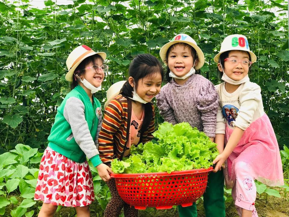 Khi nông dân Hà Tĩnh làm chủ cuộc chơi công nghệ số, nâng giá trị sản phẩm- Ảnh 4.