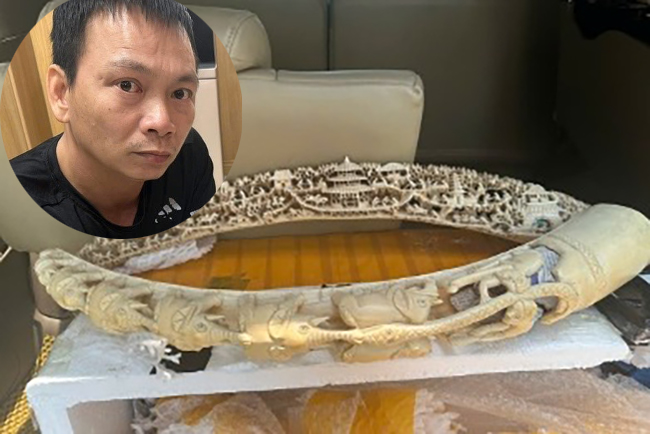Hà Nội: Khởi tố một bị can vi phạm quy định bảo vệ động vật nguy cấp, quý hiếm- Ảnh 1.