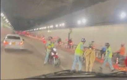 Bò lạc chạy vào hầm Thủ Thiêm, giao thông ùn ứ 30 phút