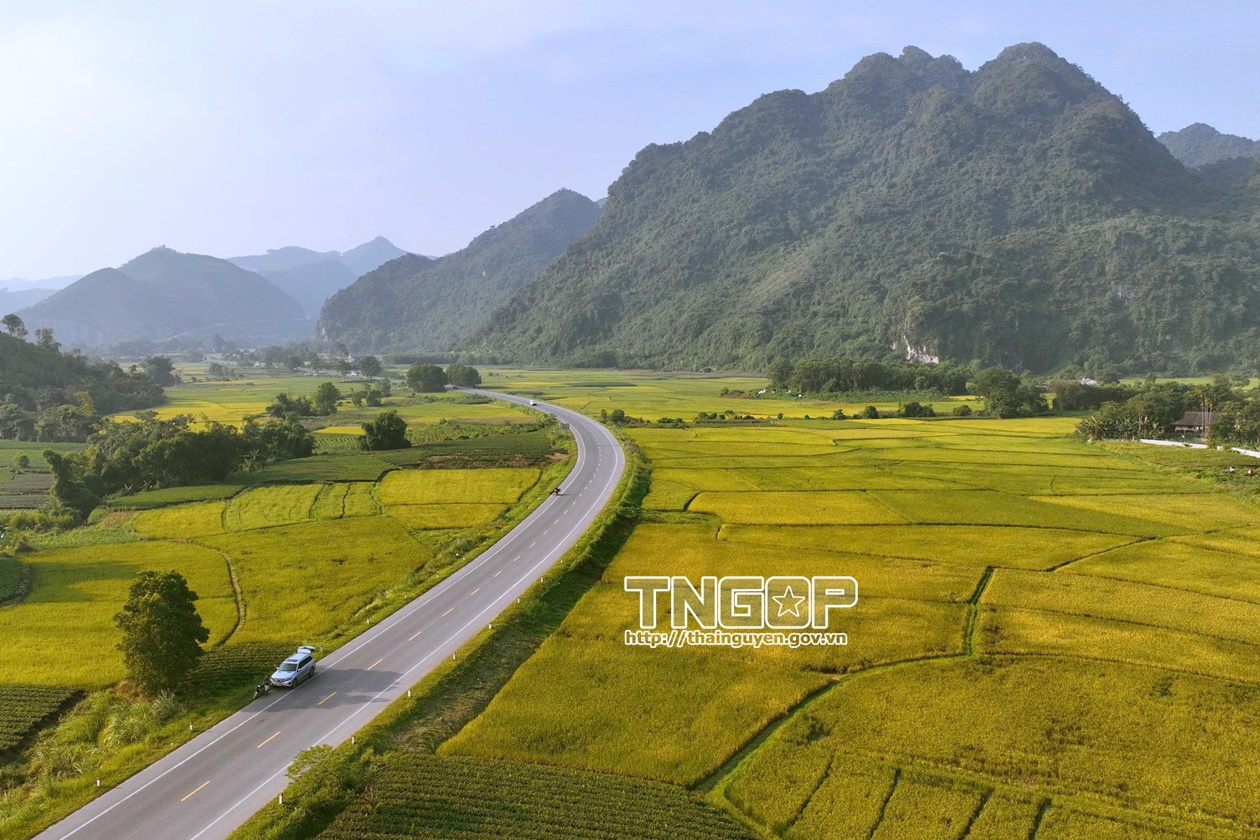 Khi hai mặt nước soi chung bầu trời- Ảnh 4.