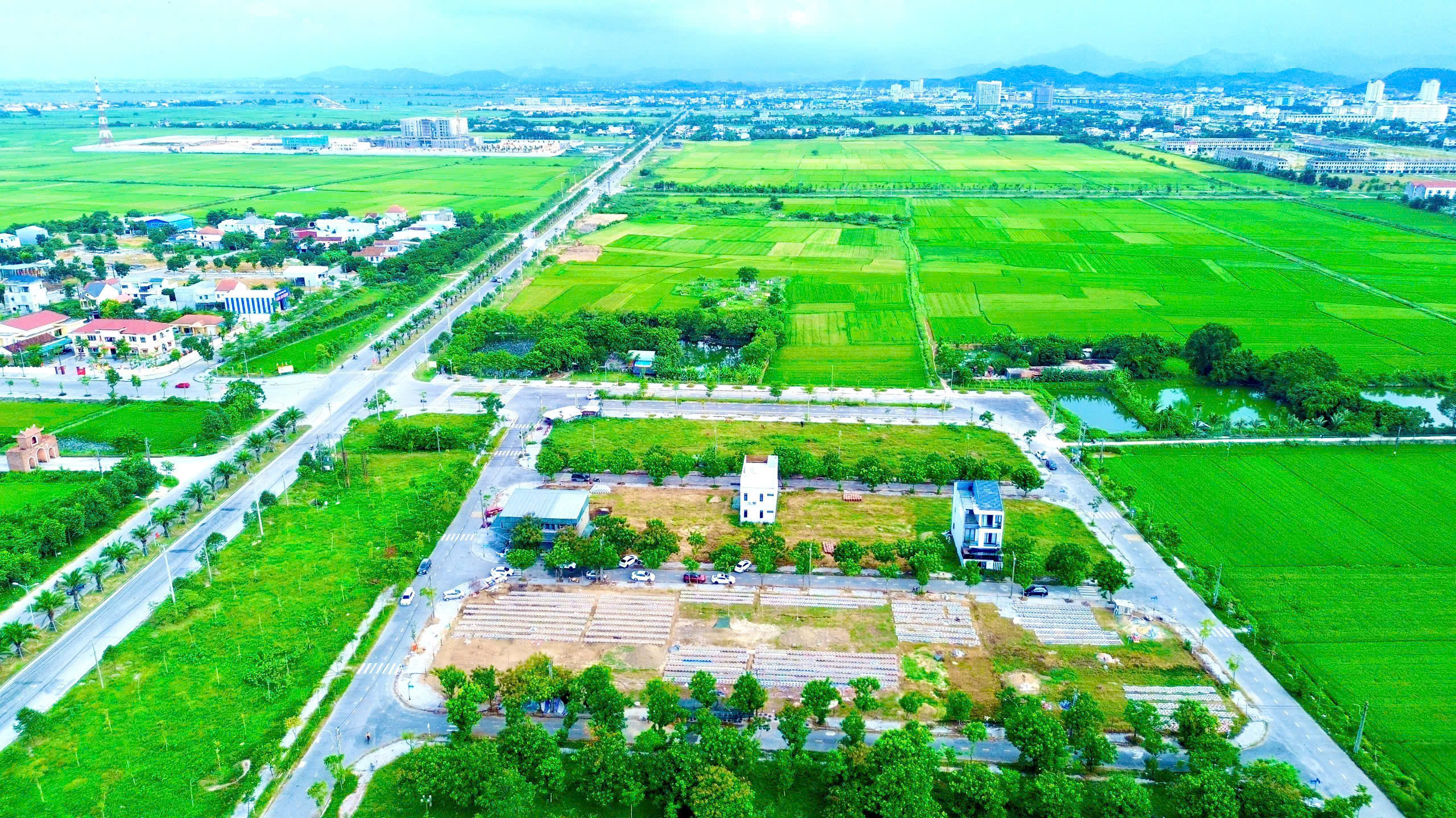 Huế: Khởi công 4 khu tái định cư, nghĩa trang phục vụ GPMB đường sắt tốc độ cao- Ảnh 4.