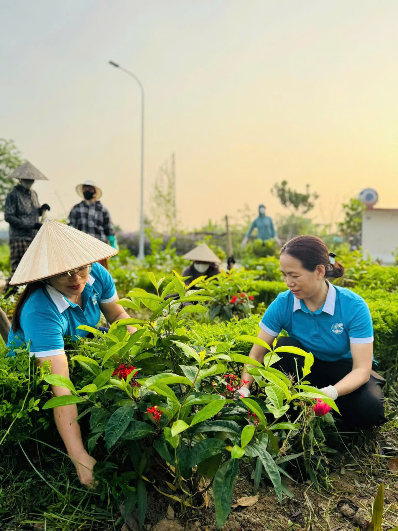 Hà Nội đẹp từ những điều bình dị, văn minh- Ảnh 12. Hà Nội đẹp từ những điều bình dị, văn minh- Ảnh 12.