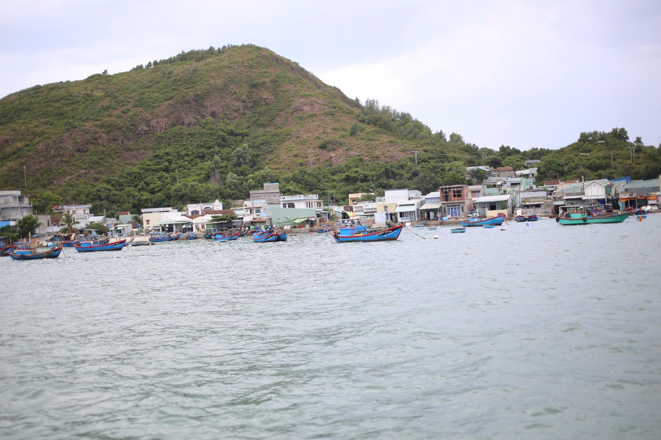 Giếng nhiễm mặn, hàng trăm hộ dân vùng ốc đảo ở Quy Nhơn khát nước sạch- Ảnh 1. Giếng nhiễm mặn, hàng trăm hộ dân vùng ốc đảo ở Quy Nhơn khát nước sạch- Ảnh 1.