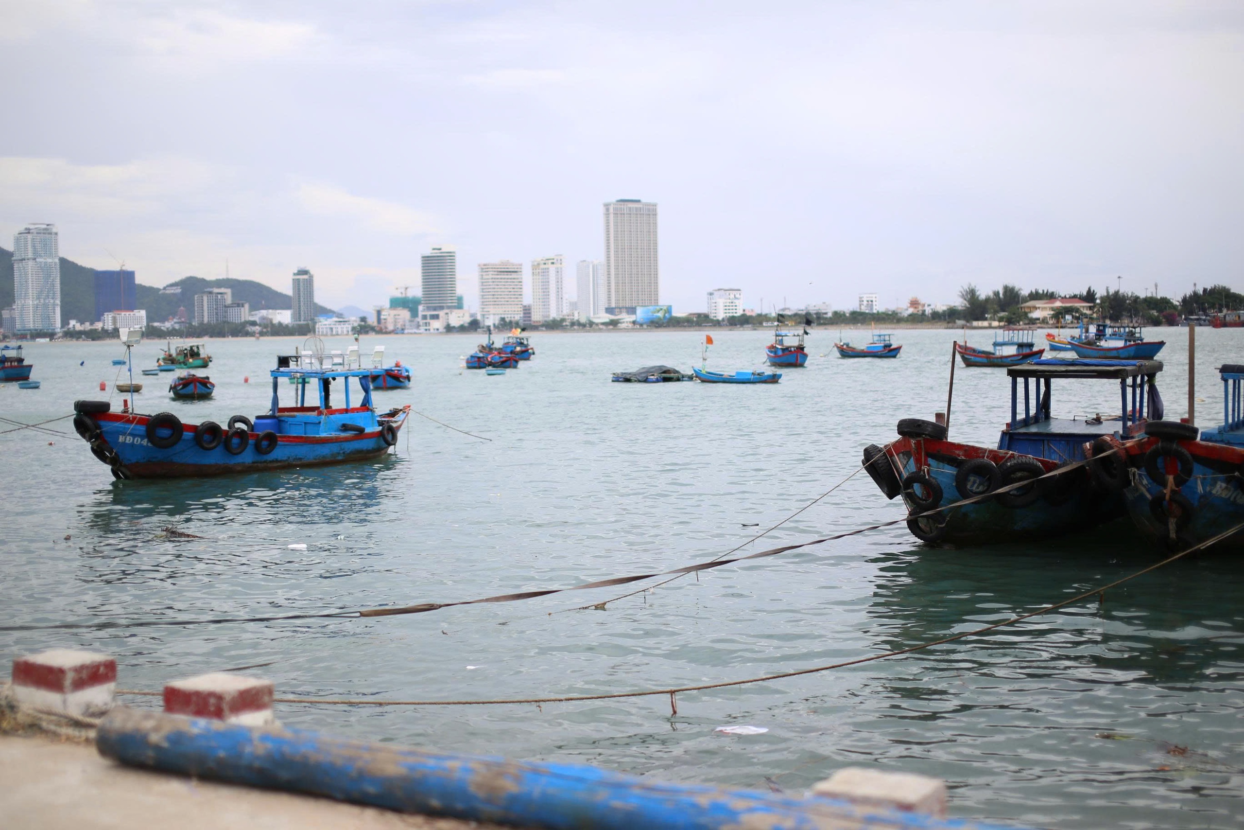 Giếng nhiễm mặn, hàng trăm hộ dân vùng ốc đảo ở Quy Nhơn khát nước sạch- Ảnh 10. Giếng nhiễm mặn, hàng trăm hộ dân vùng ốc đảo ở Quy Nhơn khát nước sạch- Ảnh 10.