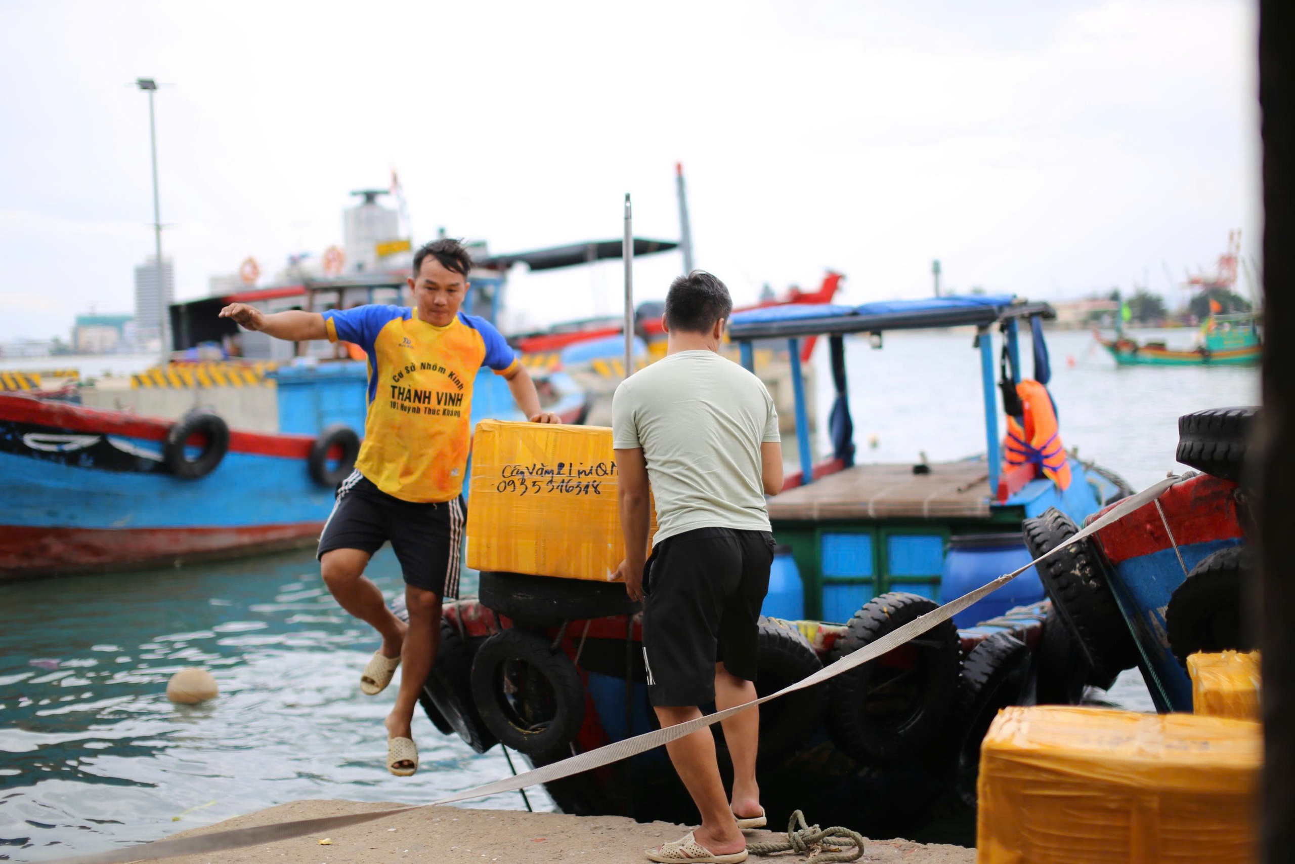 Giếng nhiễm mặn, hàng trăm hộ dân vùng ốc đảo ở Quy Nhơn khát nước sạch- Ảnh 9. Giếng nhiễm mặn, hàng trăm hộ dân vùng ốc đảo ở Quy Nhơn khát nước sạch- Ảnh 9.