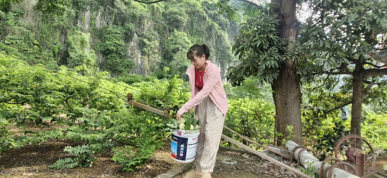 Na vào chính vụ, CSGT Lạng Sơn tất bật hỗ trợ người dân tiêu thụ- Ảnh 5. Na vào chính vụ, CSGT Lạng Sơn tất bật hỗ trợ người dân tiêu thụ- Ảnh 5.