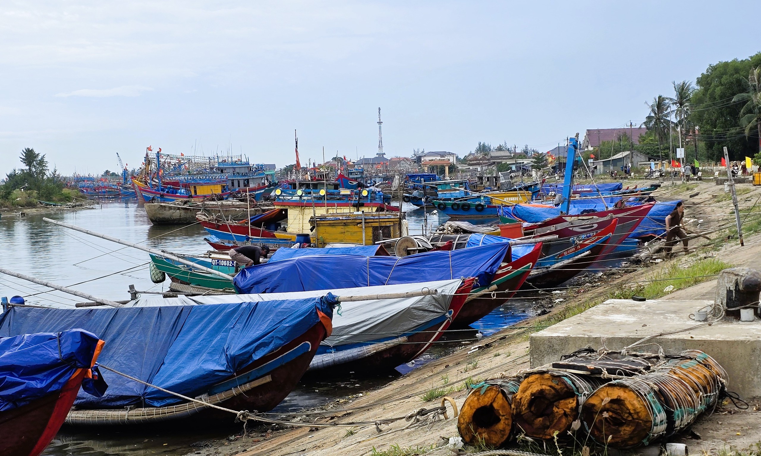 Quảng Trị: Tàu thuyền về bến neo đậu, người dân "gặt chạy bão" chằng chống nhà cửa- Ảnh 10. Quảng Trị: Tàu thuyền về bến neo đậu, người dân "gặt chạy bão" chằng chống nhà cửa- Ảnh 10.