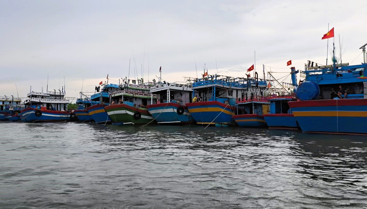 Quảng Trị: Tàu thuyền về bến neo đậu, người dân "gặt chạy bão" chằng chống nhà cửa- Ảnh 12. Quảng Trị: Tàu thuyền về bến neo đậu, người dân "gặt chạy bão" chằng chống nhà cửa- Ảnh 12.