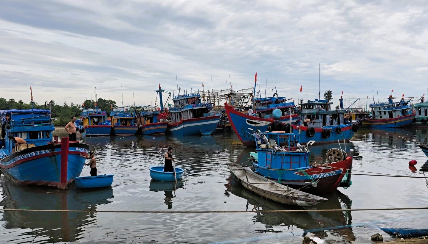 Quảng Trị: Tàu thuyền về bến neo đậu, người dân "gặt chạy bão" chằng chống nhà cửa- Ảnh 7. Quảng Trị: Tàu thuyền về bến neo đậu, người dân "gặt chạy bão" chằng chống nhà cửa- Ảnh 7.