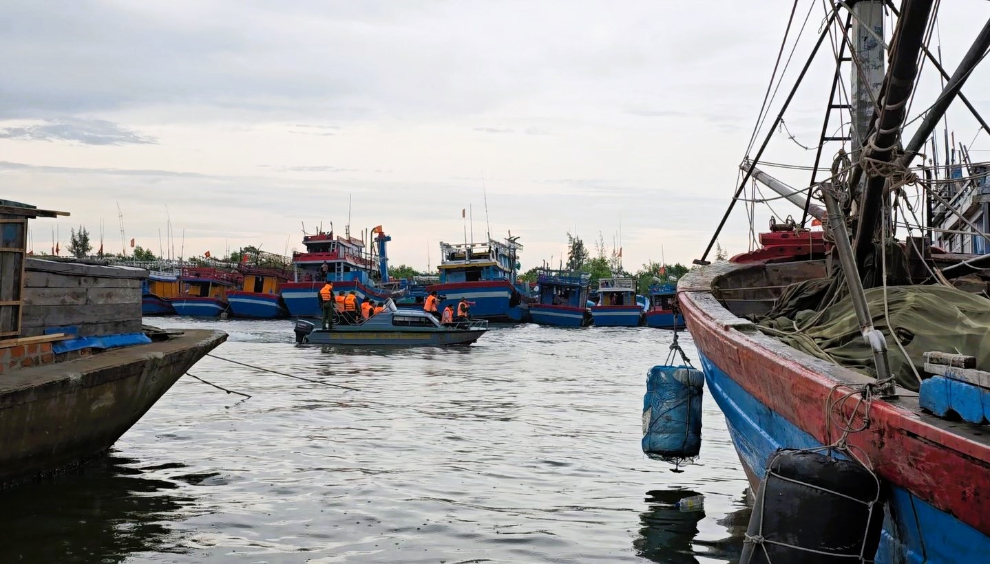 Quảng Trị: Tàu thuyền về bến neo đậu, người dân "gặt chạy bão" chằng chống nhà cửa- Ảnh 8. Quảng Trị: Tàu thuyền về bến neo đậu, người dân "gặt chạy bão" chằng chống nhà cửa- Ảnh 8.