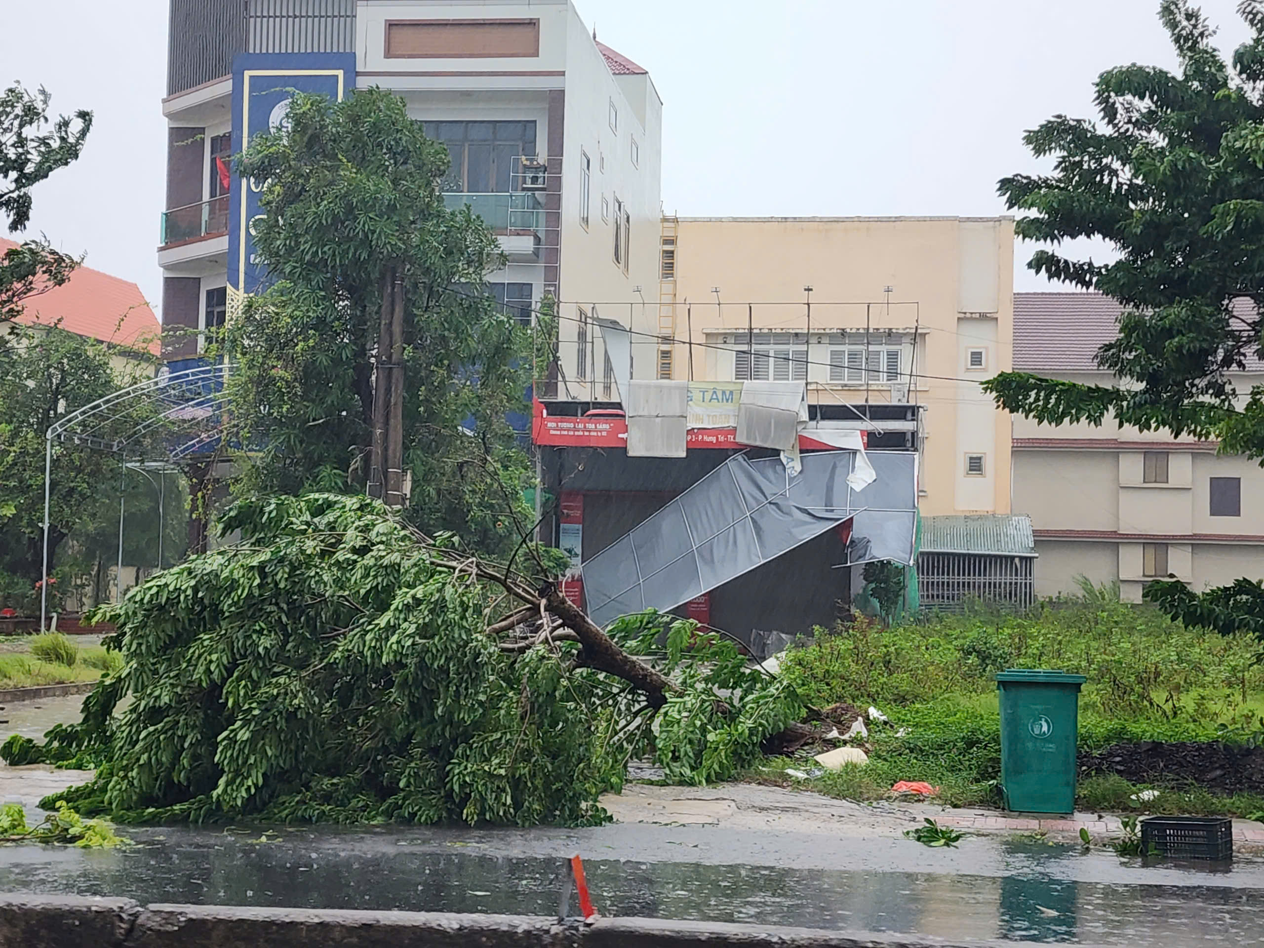 Bão số 5 quần thảo Nghệ An, đường phố Cửa Lò ngập sâu, nhiều cây xanh gãy đổ- Ảnh 24. Bão số 5 quần thảo Nghệ An, đường phố Cửa Lò ngập sâu, nhiều cây xanh gãy đổ- Ảnh 24.