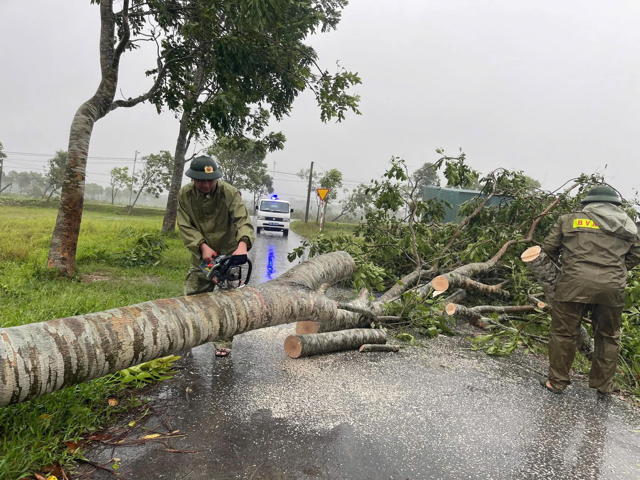 Bão số 5 quần thảo Nghệ An, đường phố Cửa Lò ngập sâu, nhiều cây xanh gãy đổ- Ảnh 12. Bão số 5 quần thảo Nghệ An, đường phố Cửa Lò ngập sâu, nhiều cây xanh gãy đổ- Ảnh 12.