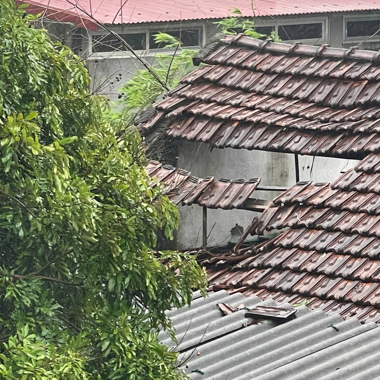 Bão số 5 quần thảo Nghệ An, đường phố Cửa Lò ngập sâu, nhiều cây xanh gãy đổ- Ảnh 16. Bão số 5 quần thảo Nghệ An, đường phố Cửa Lò ngập sâu, nhiều cây xanh gãy đổ- Ảnh 16.