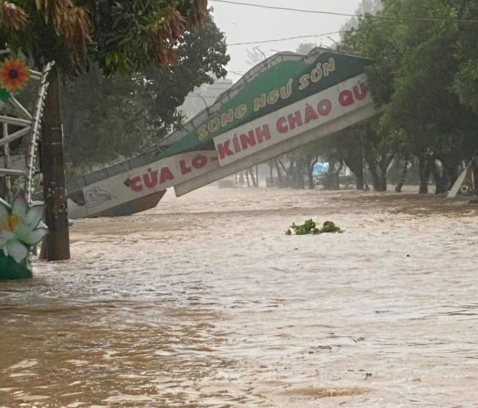 Bão số 5 quần thảo Nghệ An, đường phố Cửa Lò ngập sâu, nhiều cây xanh gãy đổ- Ảnh 3. Bão số 5 quần thảo Nghệ An, đường phố Cửa Lò ngập sâu, nhiều cây xanh gãy đổ- Ảnh 3.