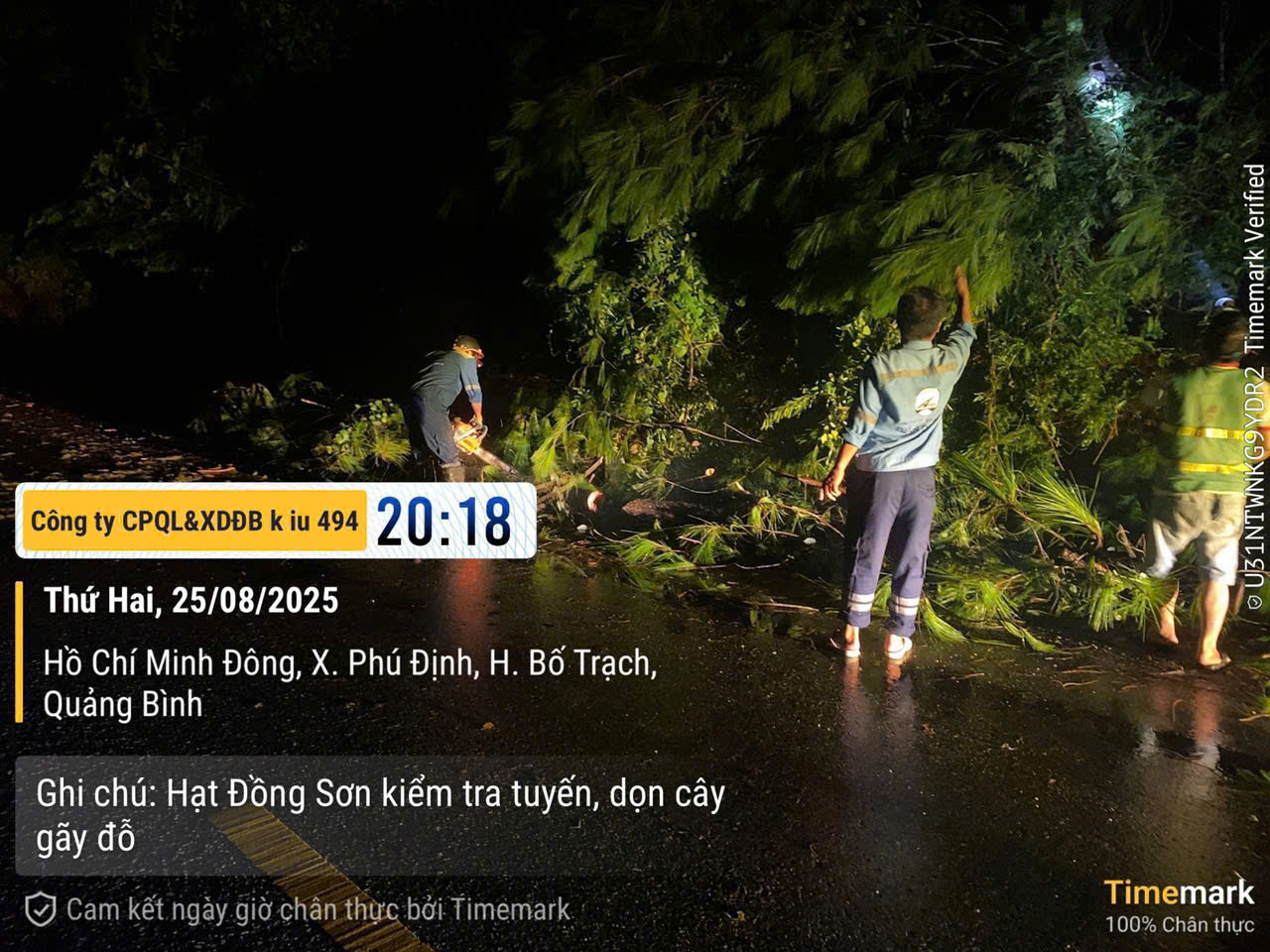 Hà Tĩnh - Nghệ An: Xuyên đêm dọn cây đổ, khơi thông giao thông sau bão số 5- Ảnh 5. Hà Tĩnh - Nghệ An: Xuyên đêm dọn cây đổ, khơi thông giao thông sau bão số 5- Ảnh 5.