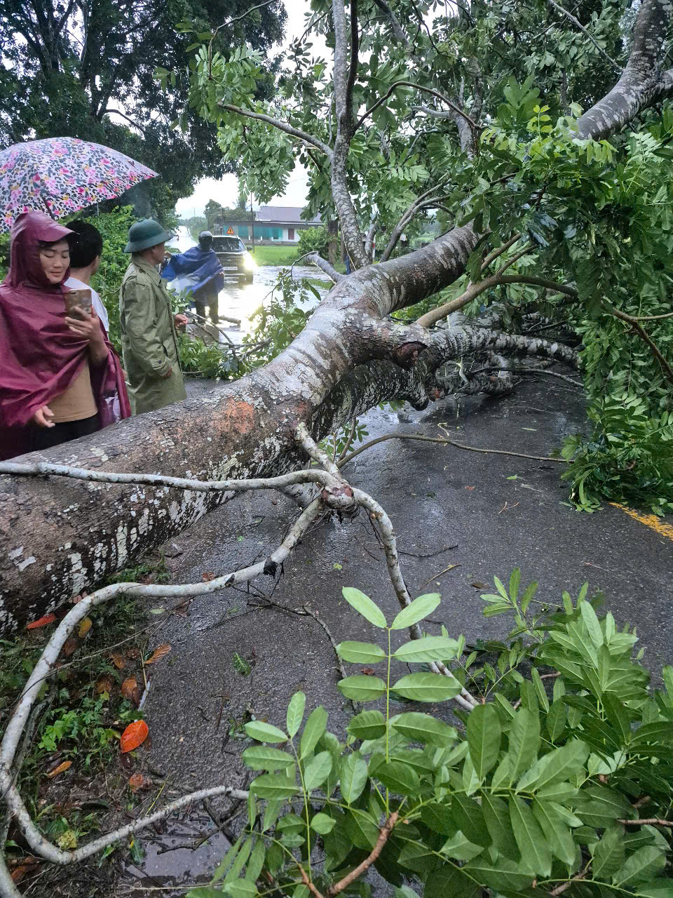 Những thiệt hại ban đầu khi bão số 5 đi qua- Ảnh 11.