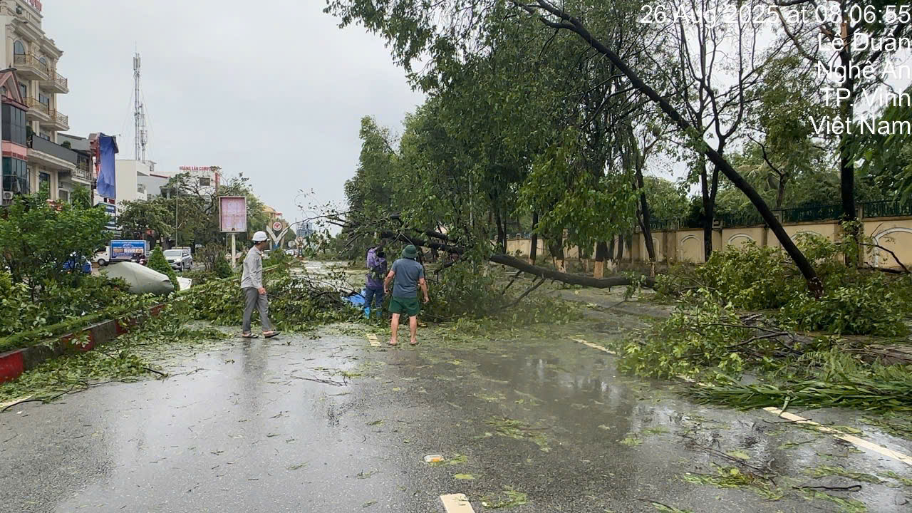 Những thiệt hại ban đầu khi bão số 5 đi qua- Ảnh 12.