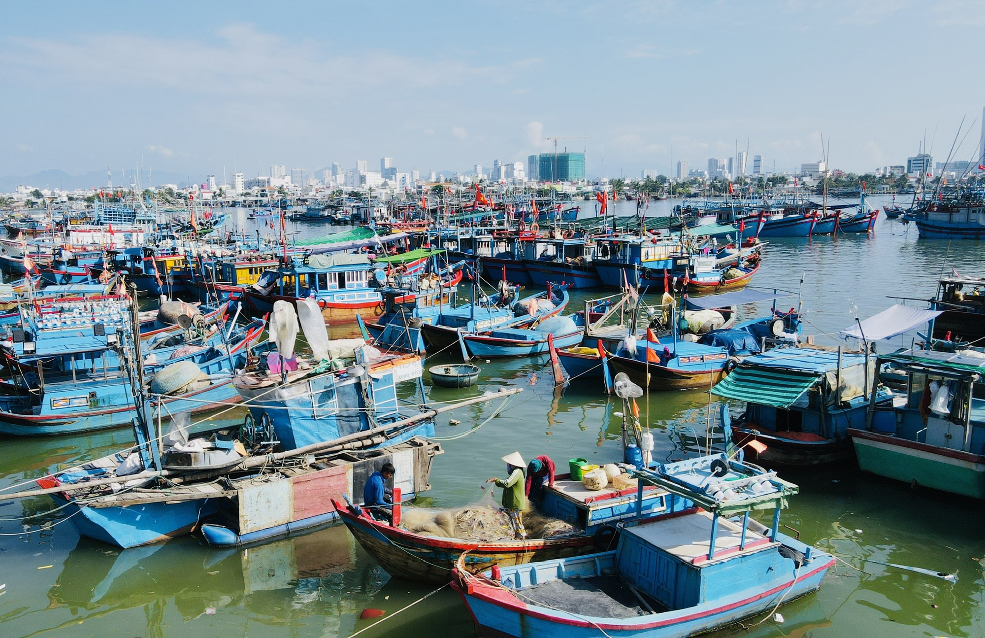 Đẩy nhanh đăng kiểm tàu cá, gỡ vướng cho ngư dân Lâm Đồng- Ảnh 1. Đẩy nhanh đăng kiểm tàu cá, gỡ vướng cho ngư dân Lâm Đồng- Ảnh 1.