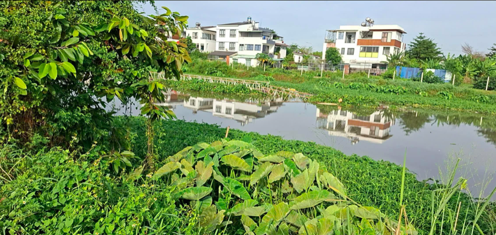 TP.HCM: Khắc phục sự cố cầu rạch Ông Bố bị nước cuốn trôi sau mưa lớn- Ảnh 1. TP.HCM: Khắc phục sự cố cầu rạch Ông Bố bị nước cuốn trôi sau mưa lớn- Ảnh 1.