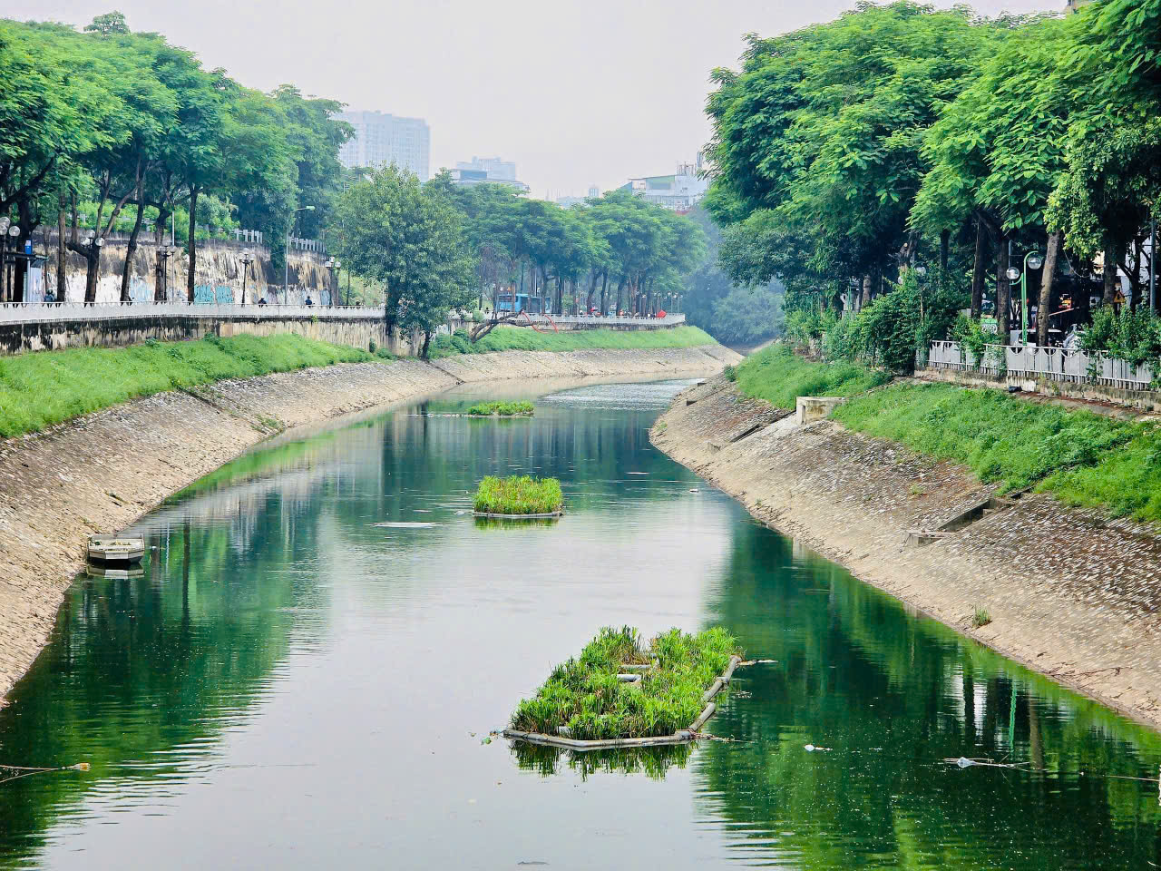 Người dân Thủ đô ngỡ ngàng khi thấy sông Tô Lịch đổi màu trong xanh- Ảnh 6. Người dân Thủ đô ngỡ ngàng khi thấy sông Tô Lịch đổi màu trong xanh- Ảnh 6.