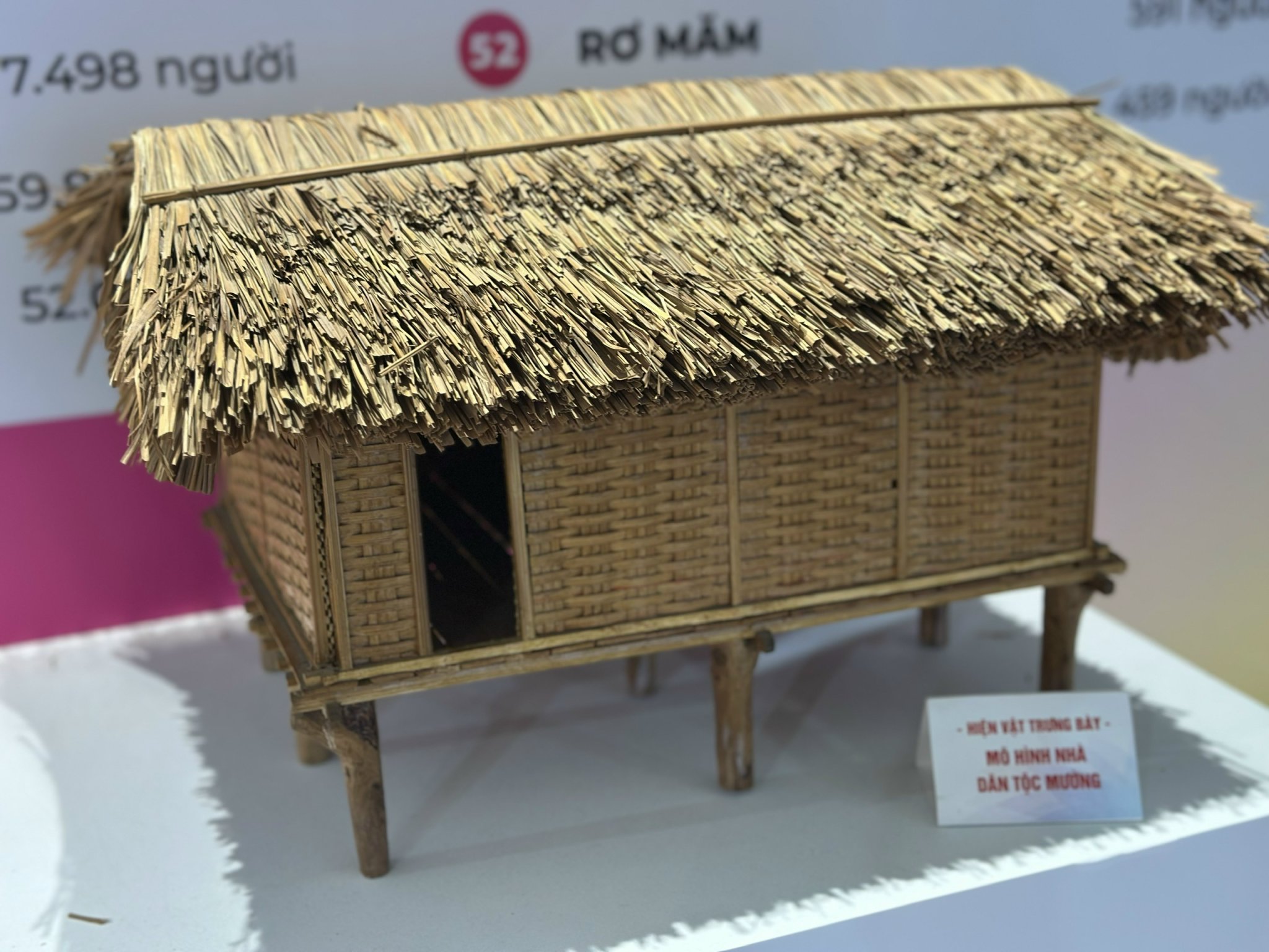 Ấn tượng sắc màu 54 dân tộc Việt Nam tại Triển lãm thành tựu đất nước 80 năm- Ảnh 16. Ấn tượng sắc màu 54 dân tộc Việt Nam tại Triển lãm thành tựu đất nước 80 năm- Ảnh 16.
