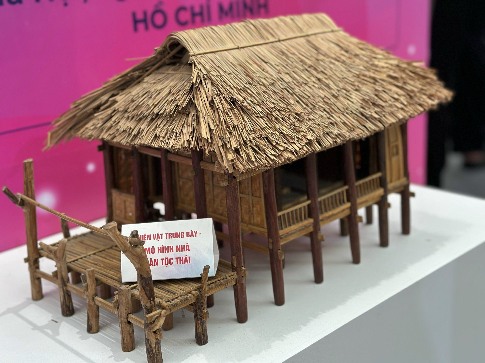 Ấn tượng sắc màu 54 dân tộc Việt Nam tại Triển lãm thành tựu đất nước 80 năm- Ảnh 17. Ấn tượng sắc màu 54 dân tộc Việt Nam tại Triển lãm thành tựu đất nước 80 năm- Ảnh 17.