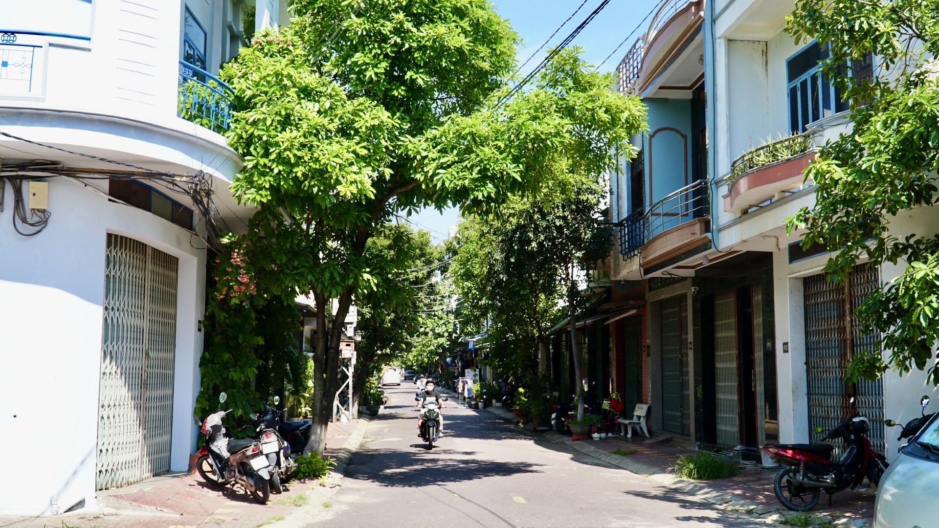 Gia Lai: Người dân phản ánh mùi hôi từ cơ sở chế biến mực trong khu dân cư- Ảnh 2.