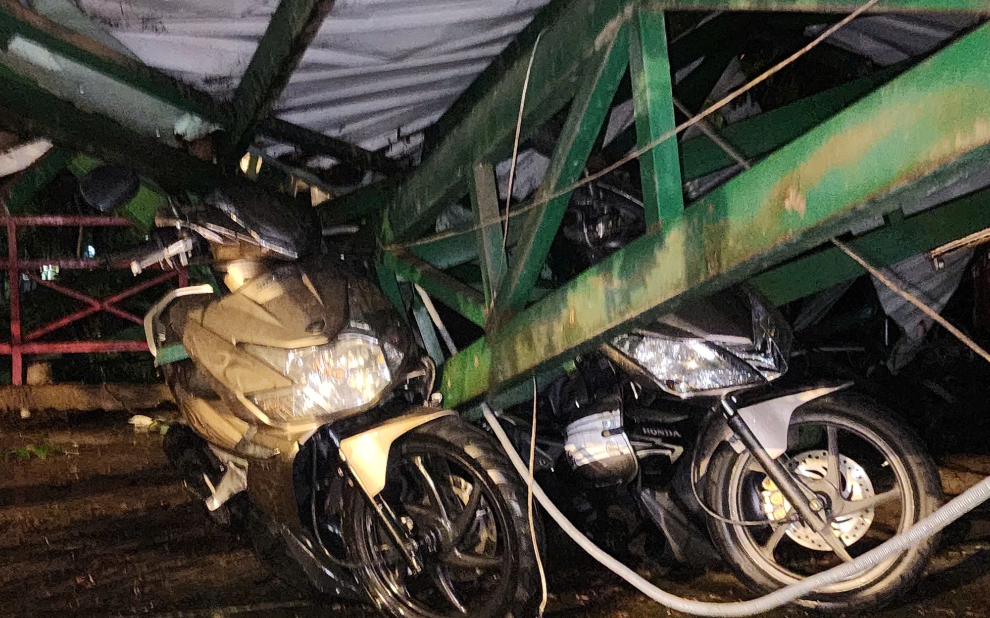 C&acirc;y me cổ thụ cao 20m bật gốc, đ&egrave; sập nh&agrave; giữ xe ở TP.HCM