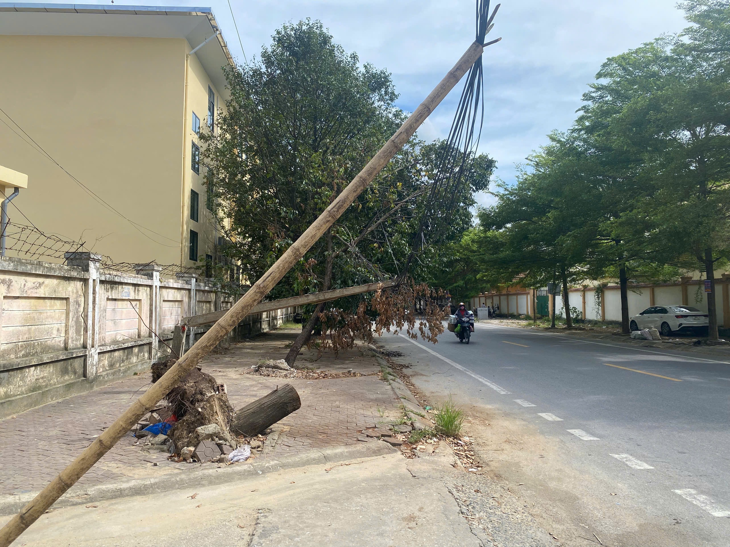 Nghệ An: Cột điện nghiêng ngả, tai nạn rình rập người đi đường- Ảnh 6. Nghệ An: Cột điện nghiêng ngả, tai nạn rình rập người đi đường- Ảnh 6.