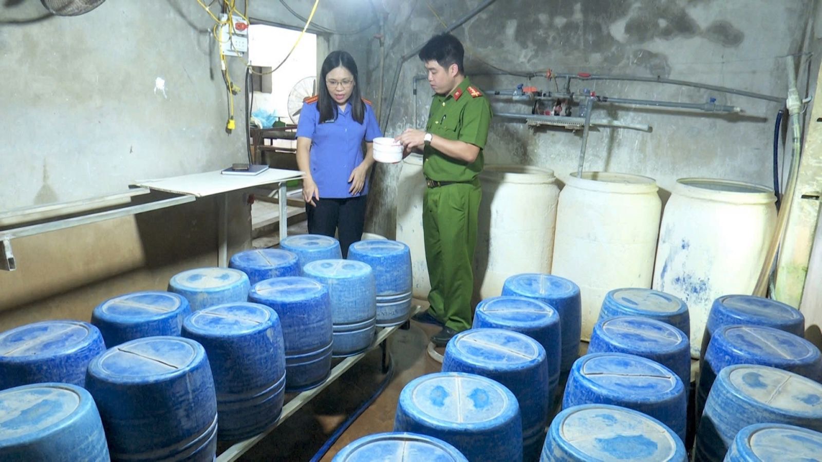 Ninh Bình: Khởi tố chủ cơ sở dùng hóa chất sản xuất gần 1,4 tấn giá đỗ- Ảnh 1.