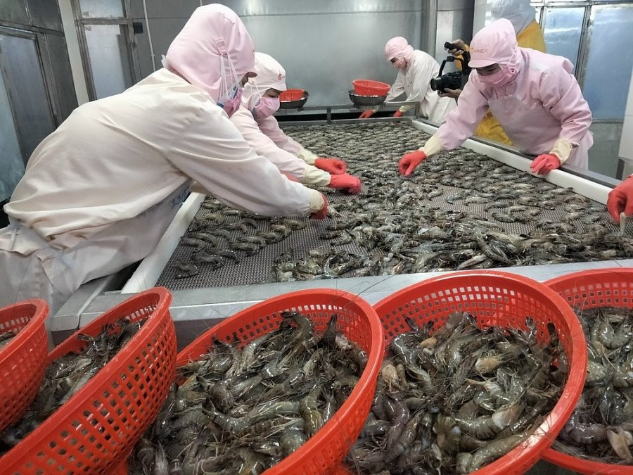 Xuất khẩu tôm Việt Nam dự báo tăng 10% - 15% vào năm 2024 ...