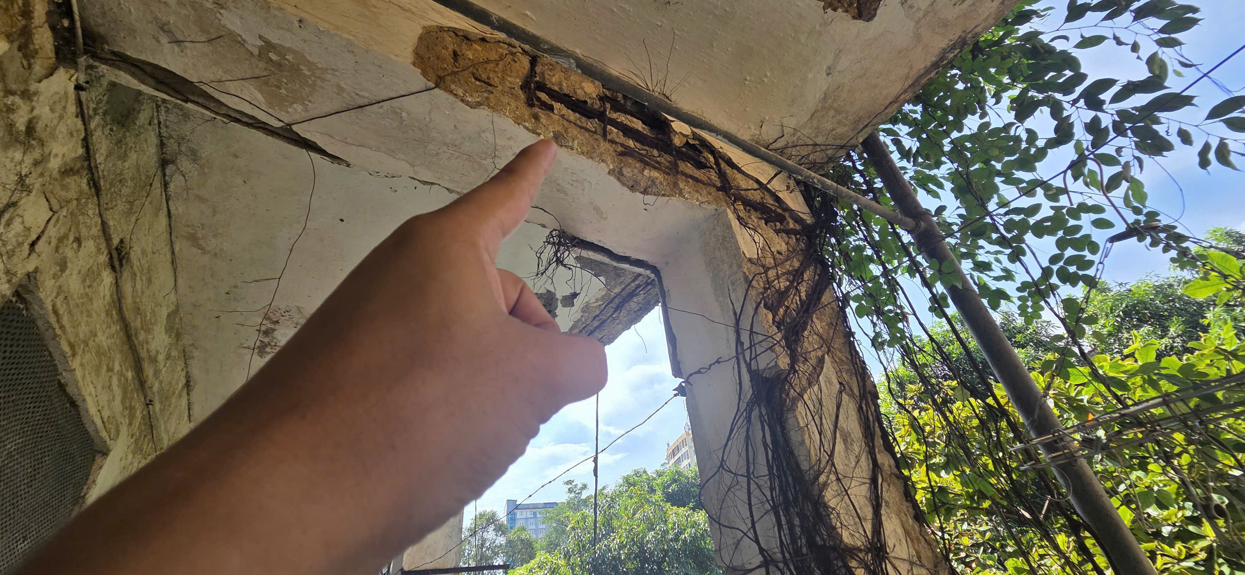 Nghệ An: Đẩy nhanh tiến độ tái định cư cho người dân khu chung cư Quang Trung- Ảnh 6. Nghệ An: Đẩy nhanh tiến độ tái định cư cho người dân khu chung cư Quang Trung- Ảnh 6.