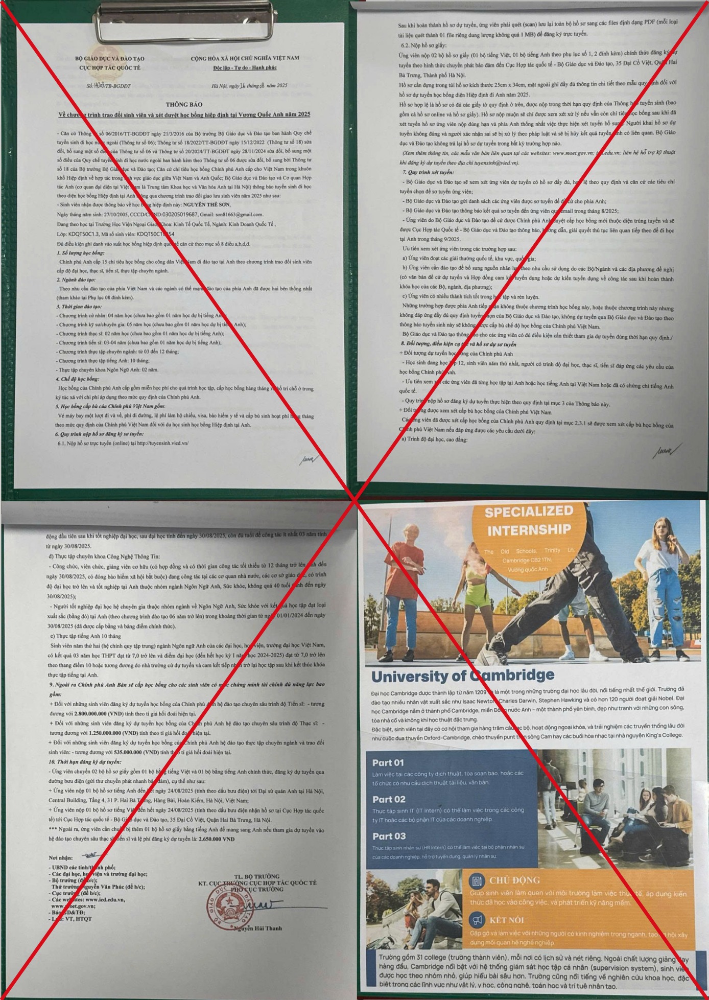 Bộ Giáo dục cảnh báo giả mạo thông tin học bổng, tài trợ du học- Ảnh 1.