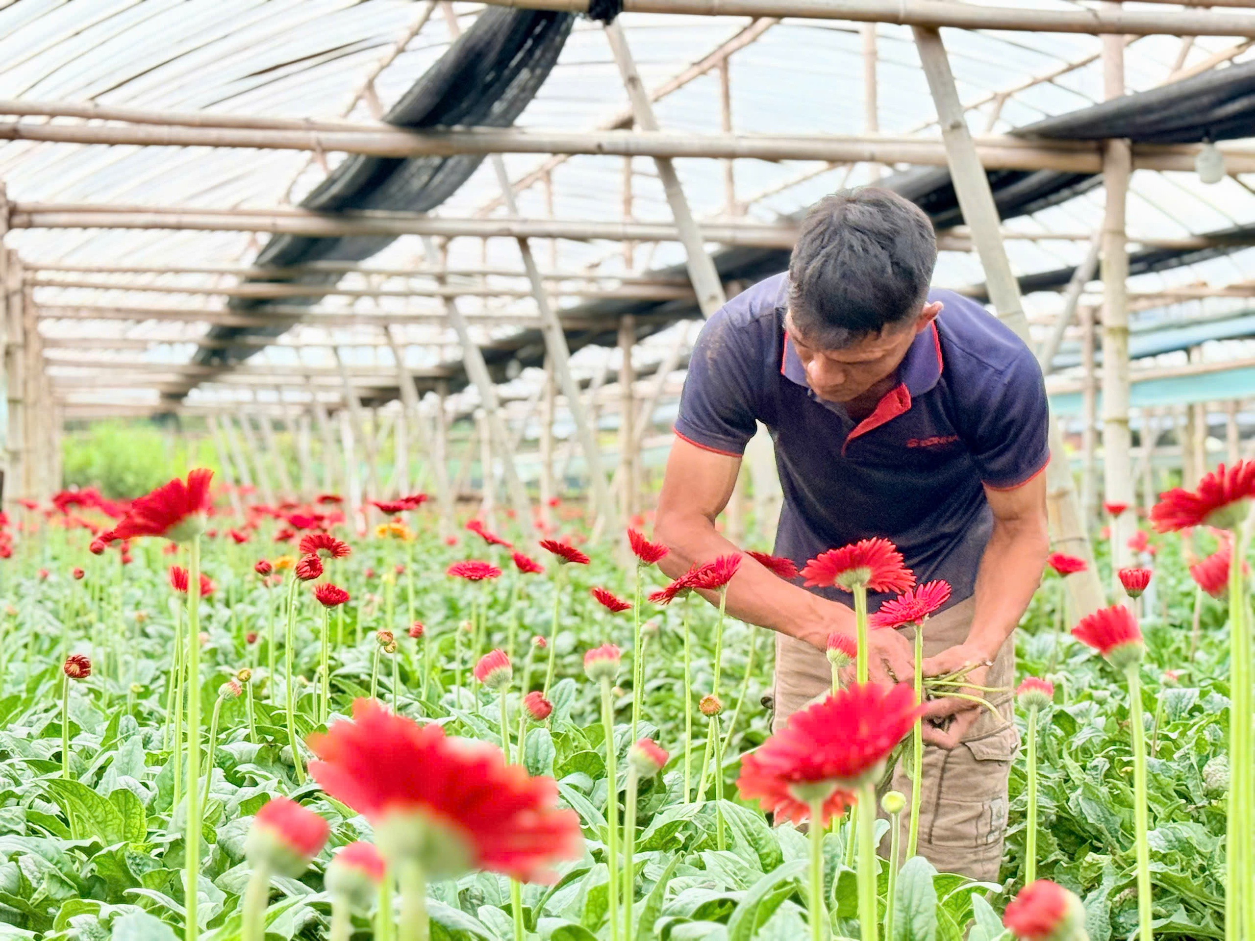 Đan Phượng: Từ điển hình nông thôn mới đến khát vọng đô thị văn minh- Ảnh 1.