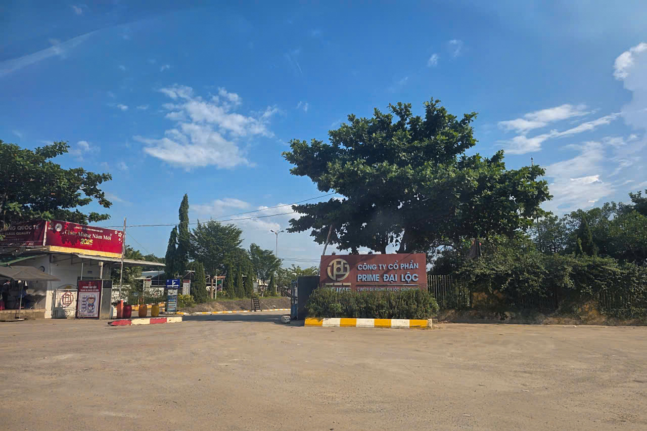 Đà Nẵng: Hà Nha đặt mục tiêu thành xã nông thôn mới nâng cao, tăng trưởng 15%/năm- Ảnh 2. Đà Nẵng: Hà Nha đặt mục tiêu thành xã nông thôn mới nâng cao, tăng trưởng 15%/năm- Ảnh 2.