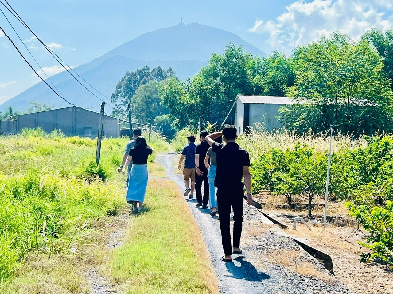 Dự báo thị trường bất động sản cuối năm 2025 tiếp tục đà phục hồi bền vững- Ảnh 2. Dự báo thị trường bất động sản cuối năm 2025 tiếp tục đà phục hồi bền vững- Ảnh 2.