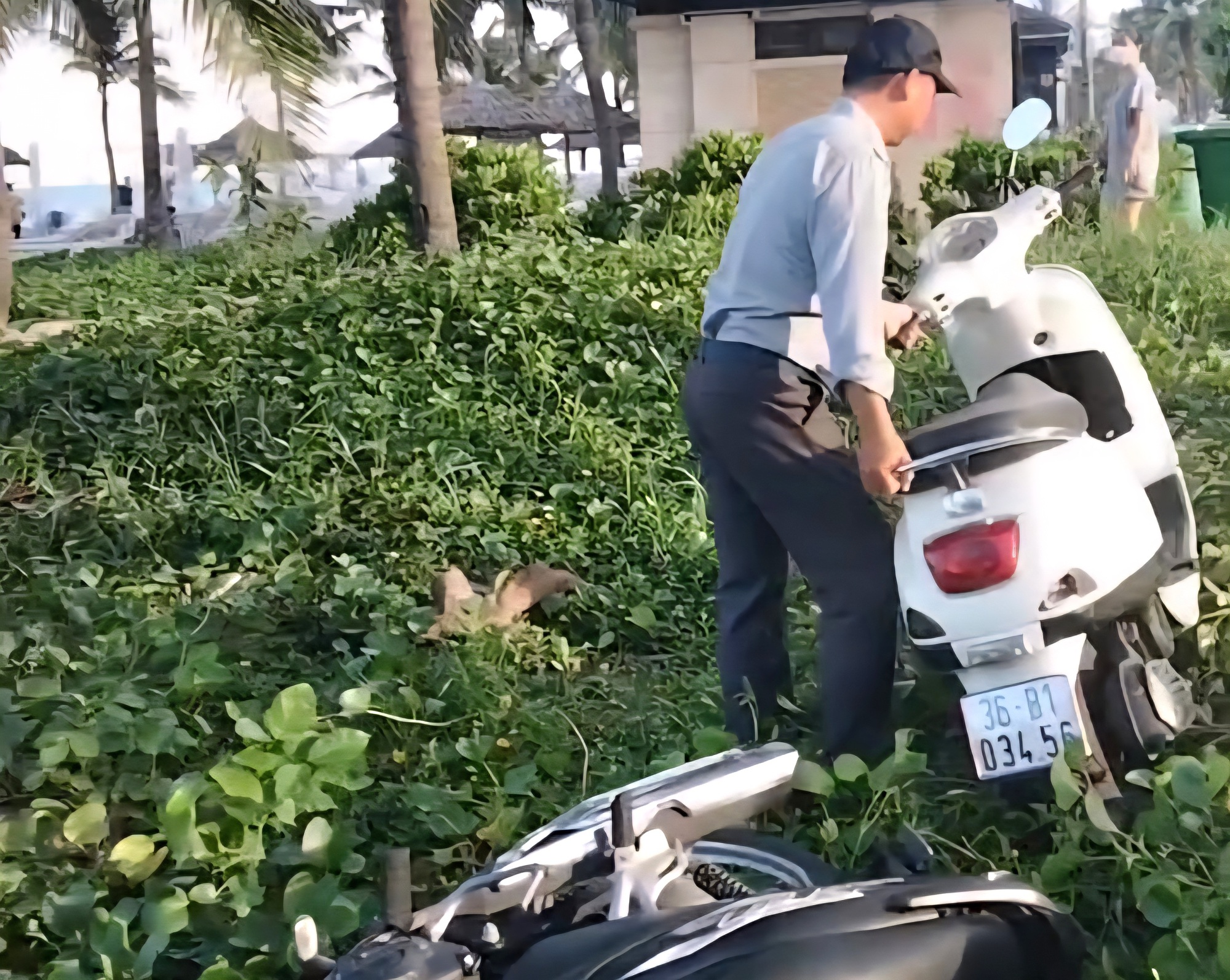 Làm rõ thông tin xe máy của du khách bị nhân viên trật tự xô đổ ở bãi biển Đà Nẵng- Ảnh 1.