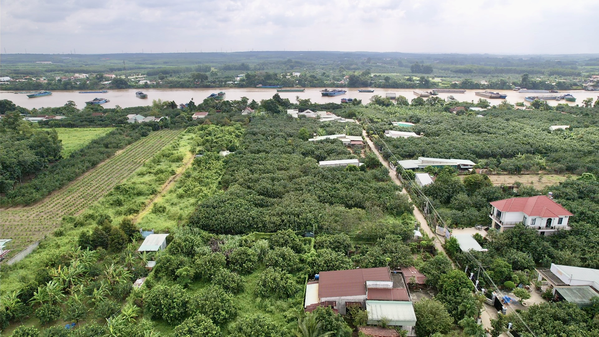 Đồng Nai: Đường bê tông về tận ngõ, đời sống bà con khấm khá lên từng ngày- Ảnh 10.