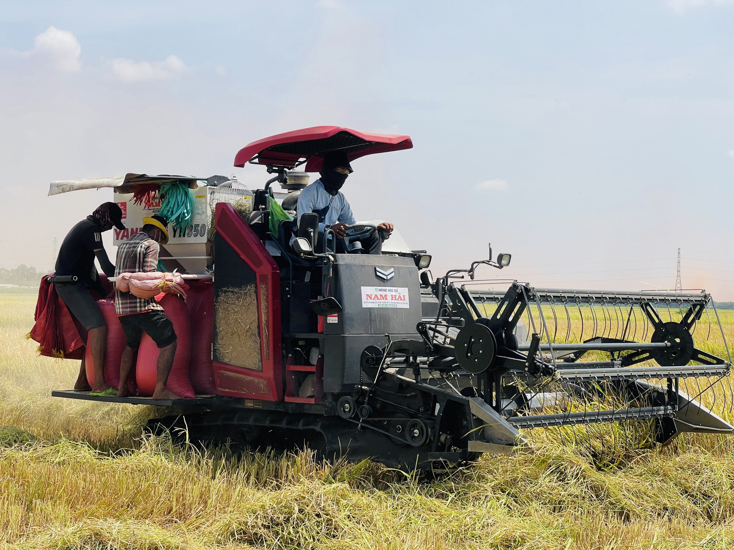 Đồng Nai: Đường bê tông về tận ngõ, đời sống bà con khấm khá lên từng ngày- Ảnh 7.