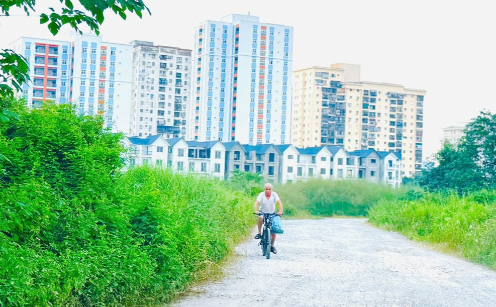 Thị trường bất động sản: Còn thiếu nhà ở giá phù hợp cho người có thu nhập thấp- Ảnh 3.