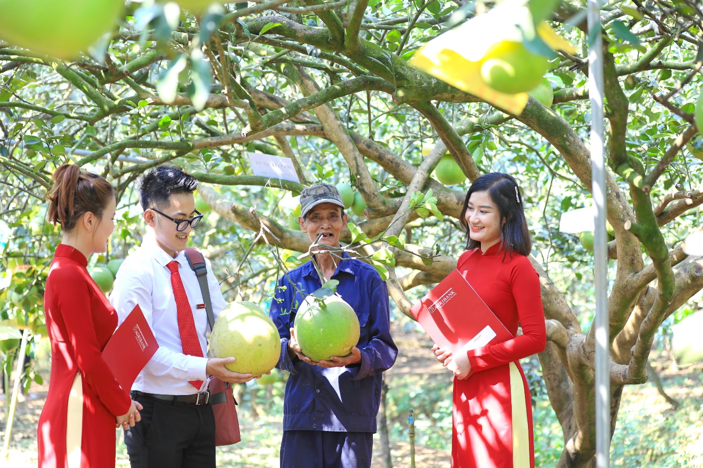 Agribank thúc đẩy phát triển bền vững với chương trình ưu đãi “xanh”- Ảnh 1.