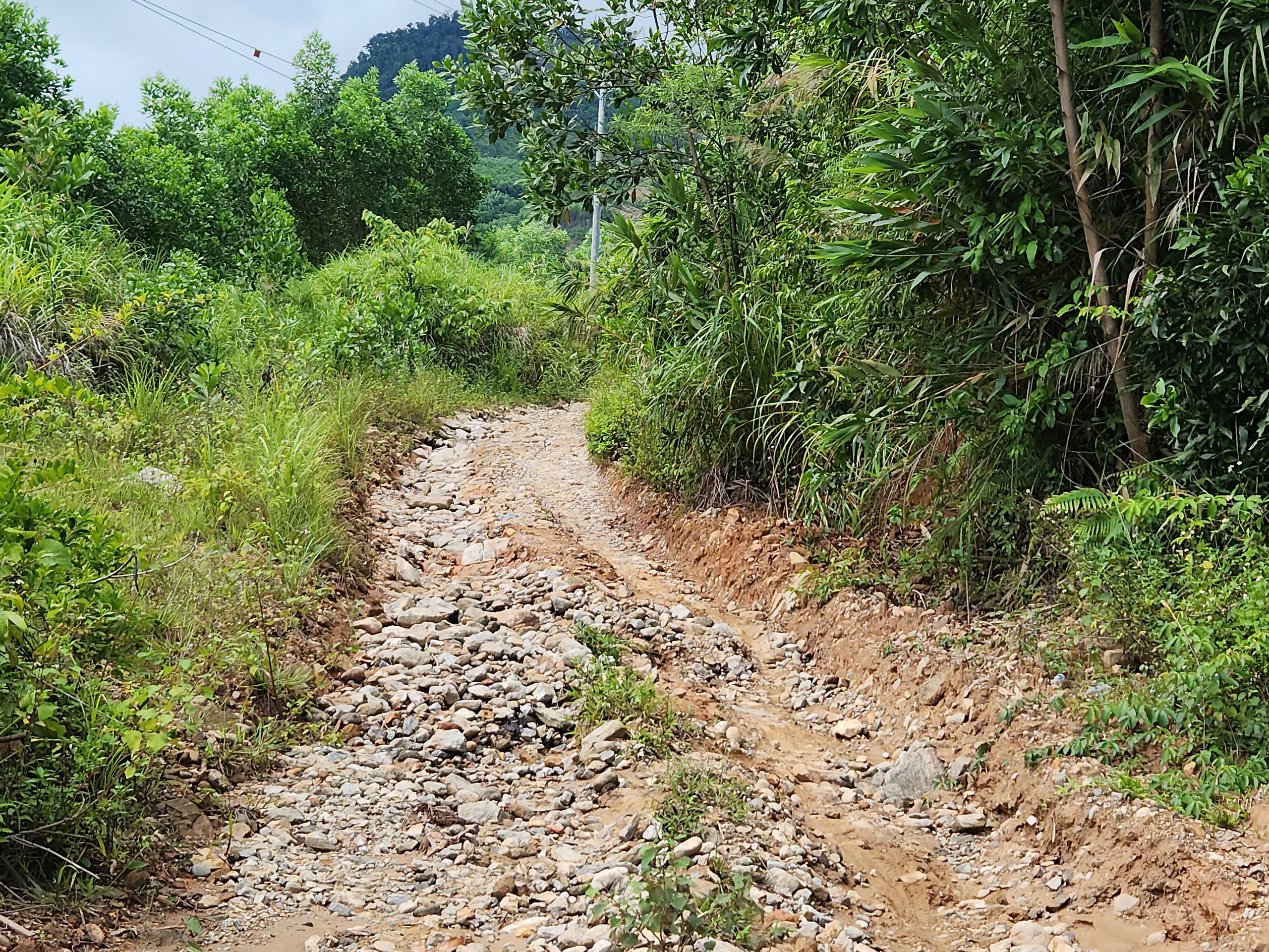 Chật vật đi lại, người dân vùng sâu ở Quảng Ngãi mong sớm nâng cấp hạ tầng giao thông- Ảnh 6.