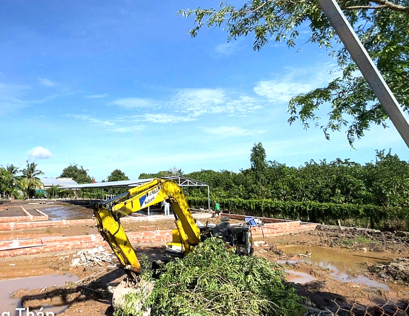 Sau 2 tháng khởi công, cao tốc Mỹ An - Cao Lãnh đang triển khai ra sao?- Ảnh 1.