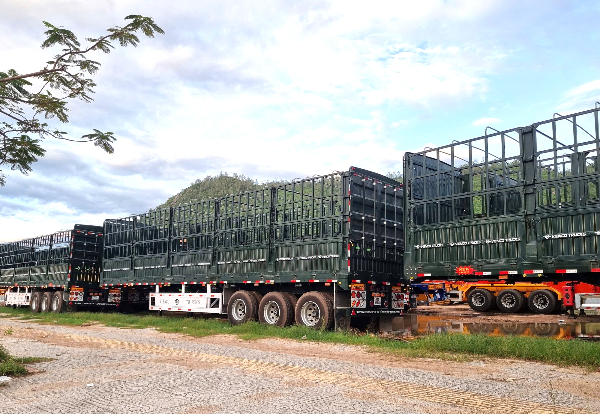 Gia Lai: Báo cáo tỉnh xử lý dứt điểm bãi xe, thiết bị chiếm dụng đất đô thị- Ảnh 10.