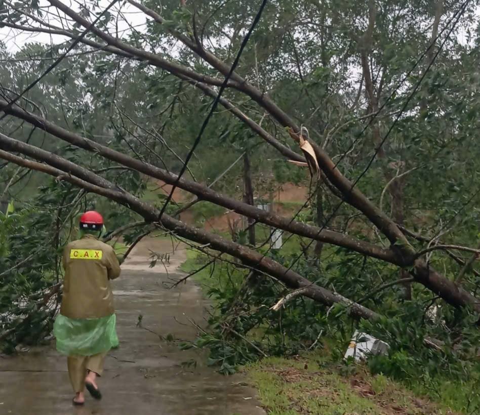 Huy động tối đa nguồn lực khắc phục bão số 10, bảo đảm giao thông, dọn dẹp nhà cửa- Ảnh 4.
