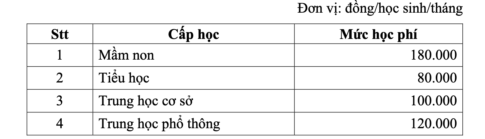 TP.HCM chi hơn 2.600 tỷ đồng hỗ trợ học phí năm học 2025-2026- Ảnh 1.
